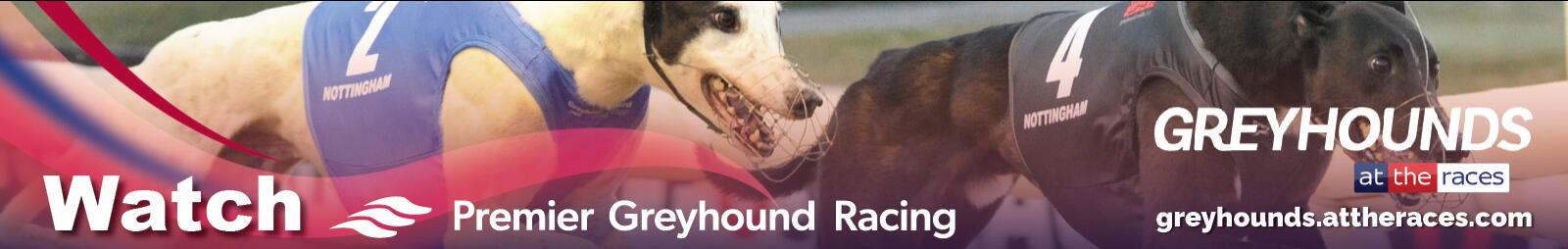 greyhounds at the races greyhound racing perry barr